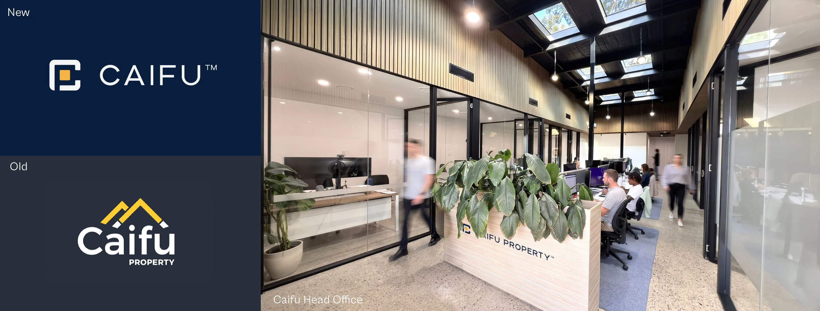 Caifu Property's new brand identity